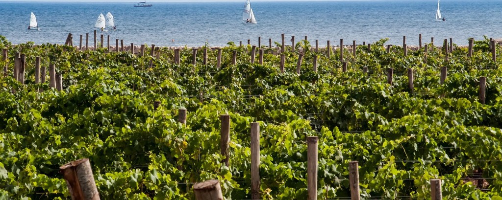 Idee per la Pasqua, tra cantine, vitigni storici e magia siciliana
