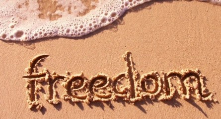 Freedom (1)
