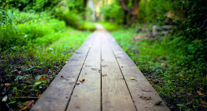 Il fondo: la nuova narrazione (di destra) che serve all’Italia