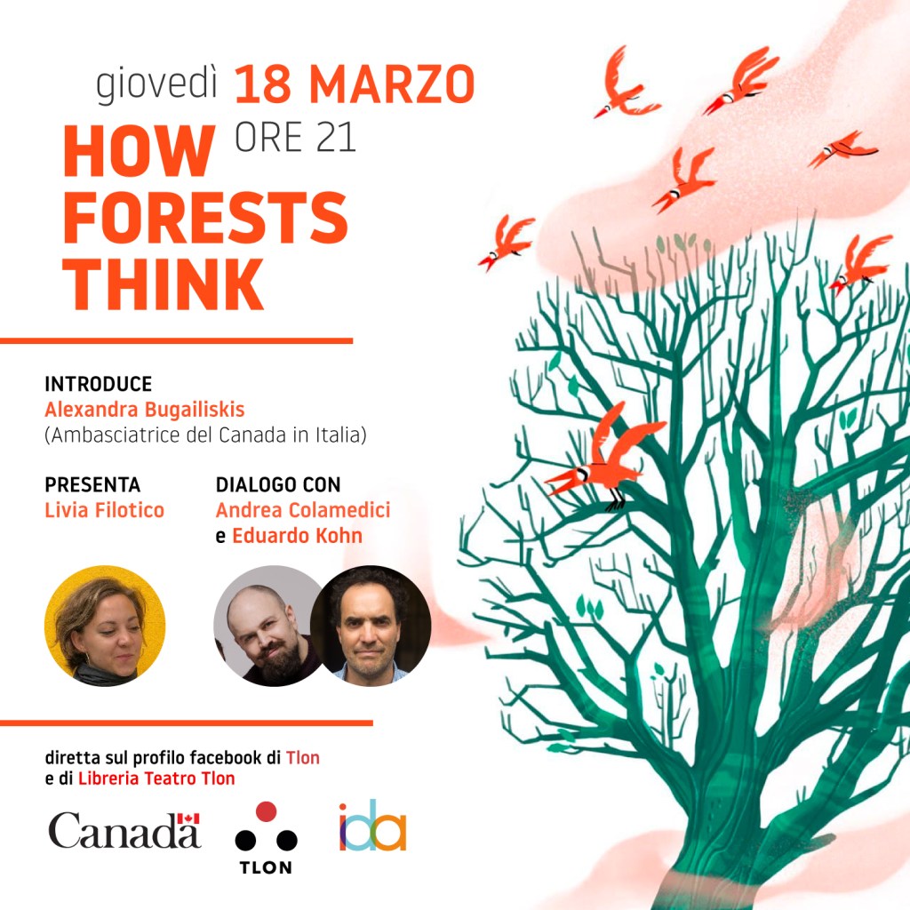 Come pensano le foreste? Risponde&nbsp;Kohn