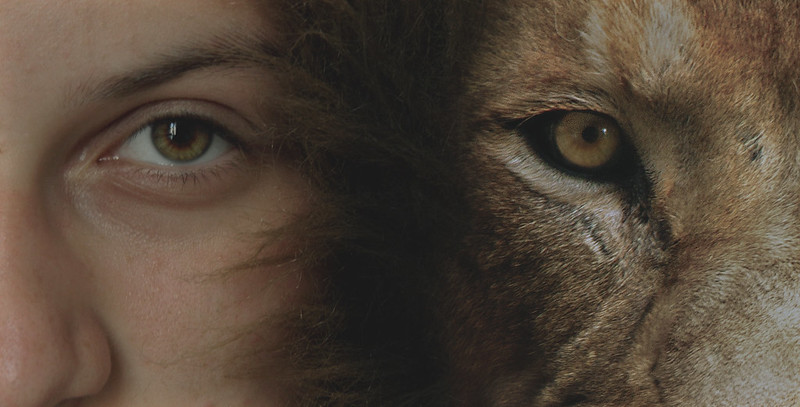 Il corsivo del giorno: la coerenza che manca a certa&nbsp;politica