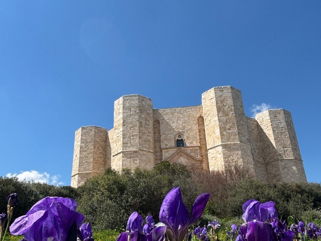FEDERICO II SPIEGATO AI BAMBINI: QUANDO CULTURA, GIOCO E TERRITORIO SI INTRECCIANO. COME CRESCE CASTEL DEL MONTE
